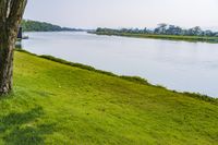 Scenic Landscape with Water, Grass, and Trees in Thailand