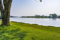 Scenic Landscape with Water, Grass, and Trees in Thailand