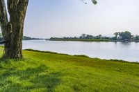 Scenic Landscape with Water, Grass, and Trees in Thailand