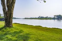 Scenic Landscape with Water, Grass, and Trees in Thailand