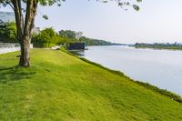 Scenic Landscape with Water, Grass, and Trees in Thailand