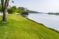 Scenic Landscape with Water, Grass, and Trees in Thailand