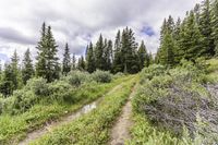 Scenic Landscape with Water and Mountains in Colorado