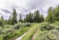 Scenic Landscape with Water and Mountains in Colorado