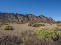 a mountain covered in scrub surrounded by desert scrub and trees with mountains in the background