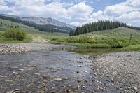 a mountain river with some grass and rocks next to it with mountains in the background