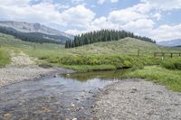 a mountain river with some grass and rocks next to it with mountains in the background