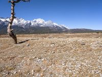 Scenic Mountain Road in the Alps: Clear Sky and Stunning Landscape