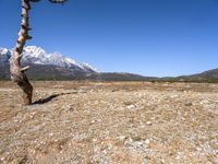 Scenic Mountain Road in the Alps: Clear Sky and Stunning Landscape