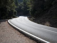 Scenic mountain road with lush trees and winding curves during the day