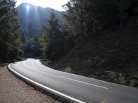 Scenic mountain road with lush trees and winding curves during the day