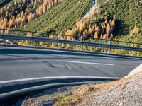 Scenic Mountain Road in Switzerland: Asphalt Nature 004