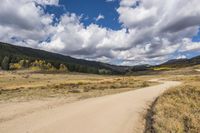Scenic Mountain Road Winding through Wilderness 001