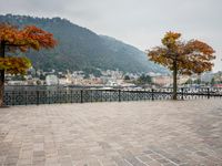 an old - fashioned tree on the sidewalk overlooking a small town over looking water with a mountain in the background