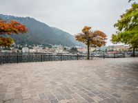 an old - fashioned tree on the sidewalk overlooking a small town over looking water with a mountain in the background