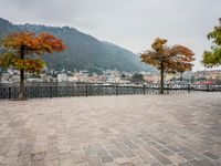 an old - fashioned tree on the sidewalk overlooking a small town over looking water with a mountain in the background