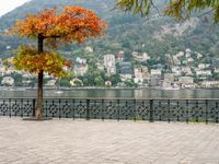 an old - fashioned tree on the sidewalk overlooking a small town over looking water with a mountain in the background