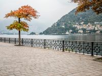 an old - fashioned tree on the sidewalk overlooking a small town over looking water with a mountain in the background