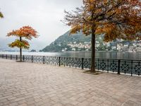 an old - fashioned tree on the sidewalk overlooking a small town over looking water with a mountain in the background