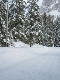 Scenic Mountains in Switzerland with Snow-Covered Trees