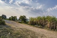 Scenic Nature Landscape in Thailand