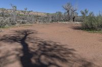 Scenic Nature Tracks in Utah's Canyonlands