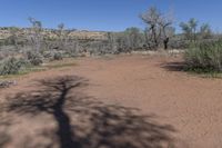 Scenic Nature Tracks in Utah's Canyonlands