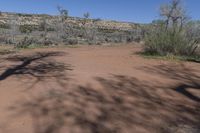 Scenic Nature Tracks in Utah's Canyonlands