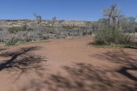 Scenic Nature Tracks in Utah's Canyonlands