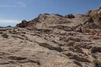 Scenic Nevada Desert Landscape with Red Rocks