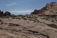 Scenic Nevada Desert Landscape with Red Rocks