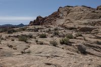 Scenic Nevada Desert Landscape with Red Rocks