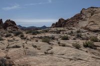 Scenic Nevada Desert Landscape with Red Rocks