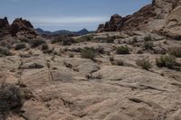 Scenic Nevada Desert Landscape with Red Rocks