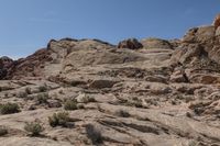 Scenic Nevada Desert Landscape with Red Rocks