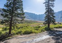a dirt road winding up to a valley with trees and mountains in the background,