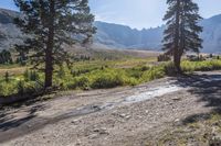 a dirt road winding up to a valley with trees and mountains in the background,