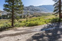 a dirt road winding up to a valley with trees and mountains in the background,