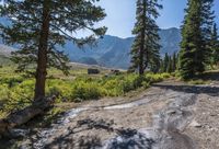 a dirt road winding up to a valley with trees and mountains in the background,