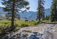 a dirt road winding up to a valley with trees and mountains in the background,