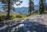 a dirt road winding up to a valley with trees and mountains in the background,