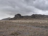 Scenic off-road track in Utah, USA