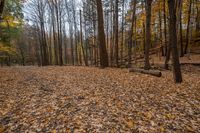 Scenic Landscape in Ontario, Canada