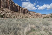 the landscape looks to be very scenic and full of natural vegetation with mountains in the background