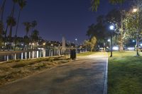 a path with benches and lights along it next to water, in the distance is a city at night