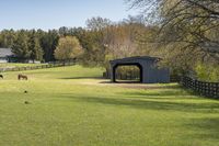 two horses graze in a grassy field under a covered shelter beside a wooded hill