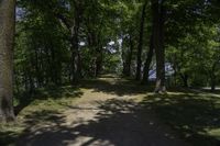 a pathway with trees near a body of water in the background and a view out to the water