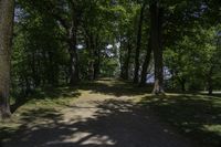 a pathway with trees near a body of water in the background and a view out to the water