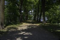 a pathway with trees near a body of water in the background and a view out to the water