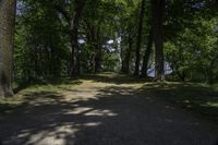 a pathway with trees near a body of water in the background and a view out to the water